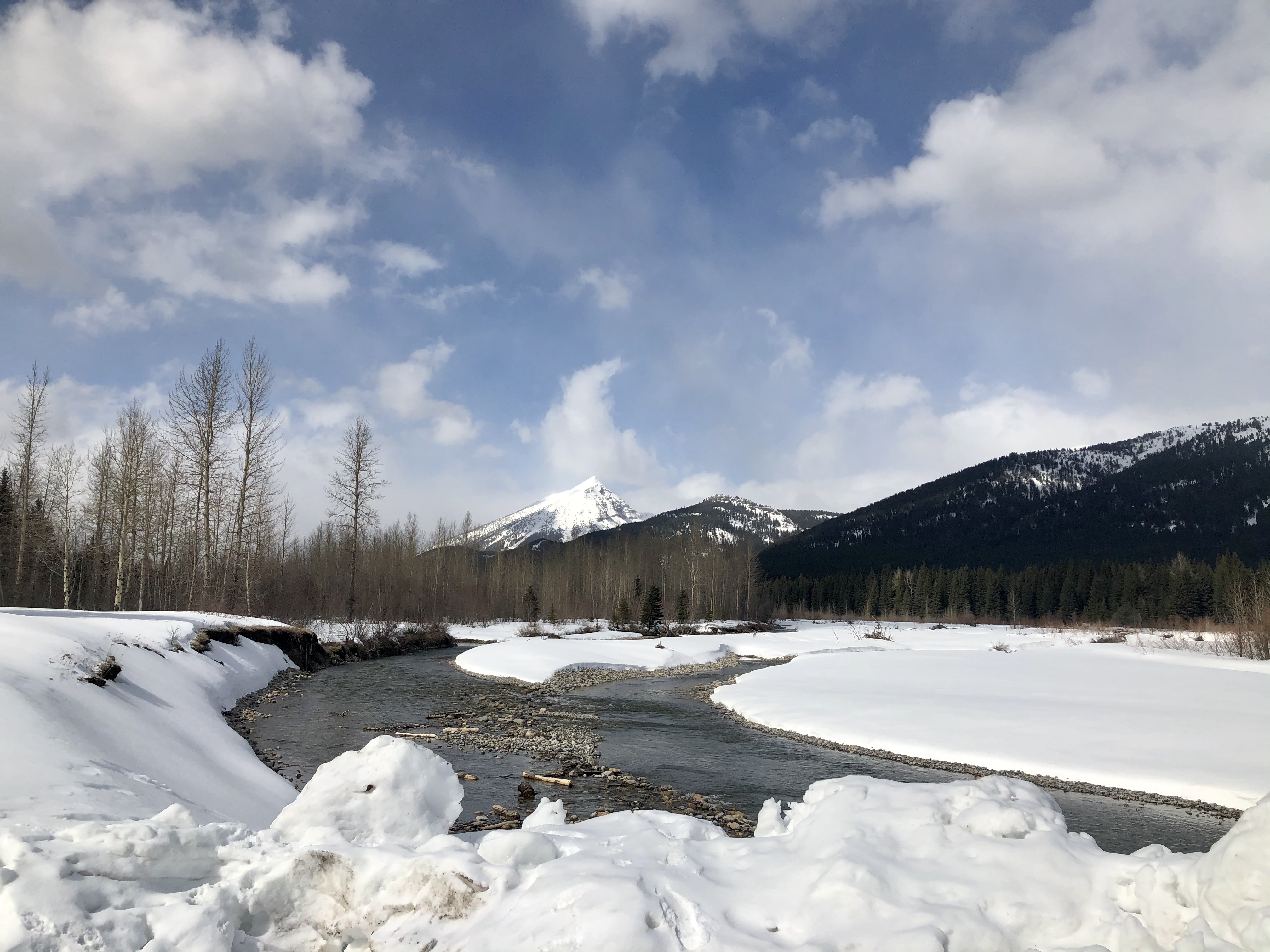 My name is Tanzice J from LocalMaid, and I look forward to helping clean your home.